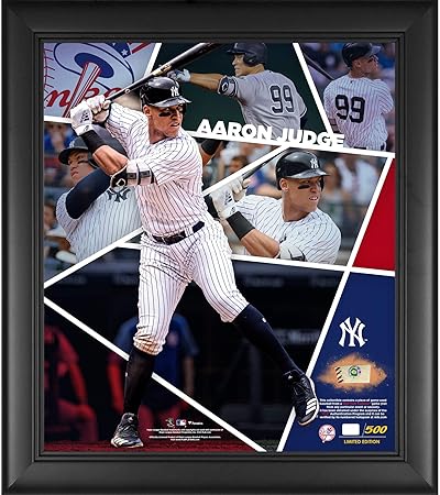 aaron judge game used bat