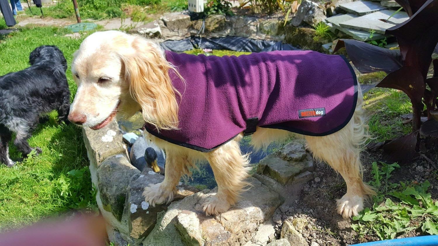 Hotterdog by Equafleece­® Fleece Dog Coat Grape 22" Amazon.co.uk