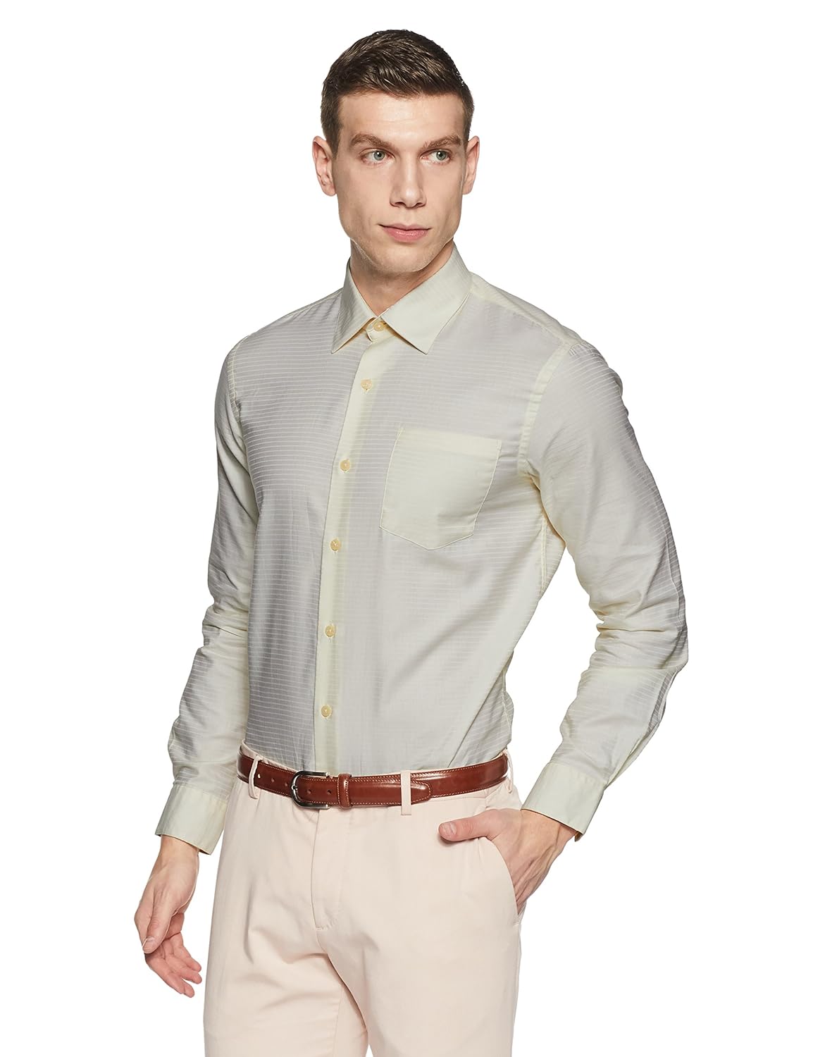 arrow men's paisley slim fit business shirt