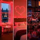 Ollny 10m 100 LED Red Fairy Lights Outdoor Waterproof with Remote view 3