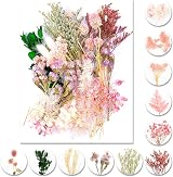 iDattel Dried Flowers Set for Arts & Crafts, Light Pink, DIY Jewelry view 1