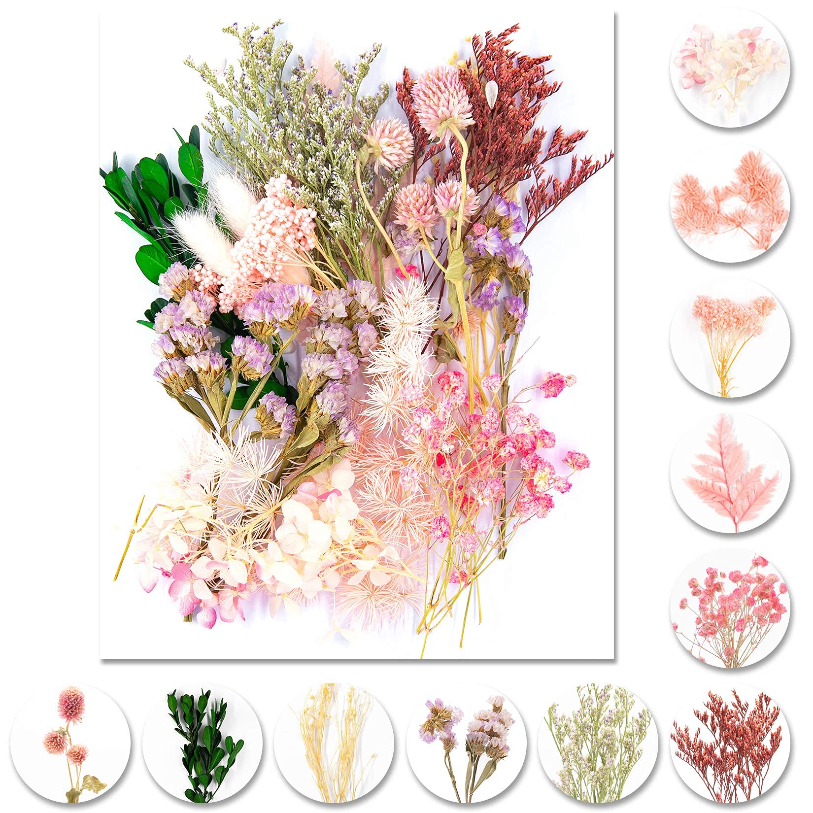 iDattel Natural Dried Flowers Set for Arts and Crafts, DIY Resin Jewelry and Cards Making (Light Pink)