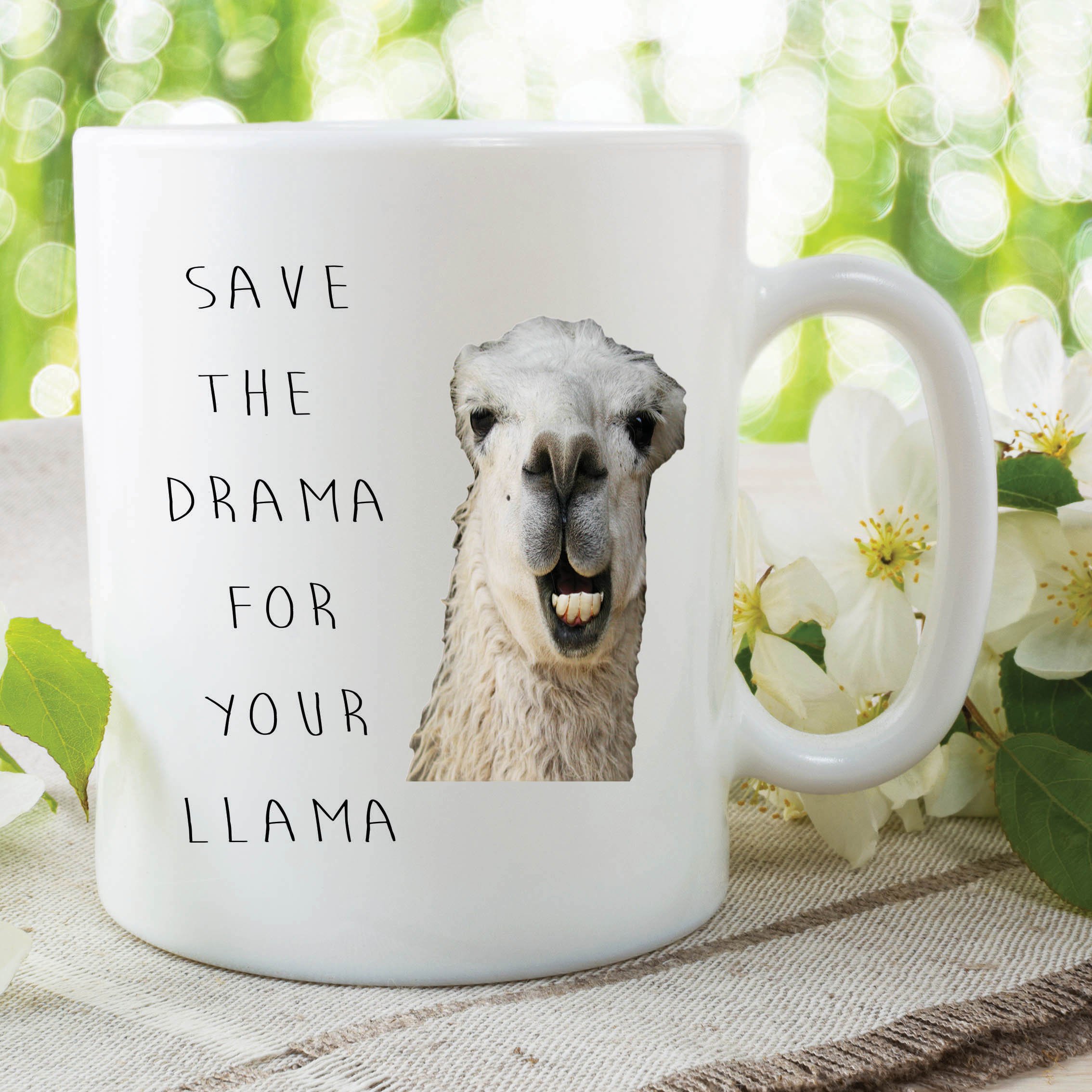 Funny Novelty Mugs Joke Adult Humour Drama Llama Work Office Coffee WSDMUG617