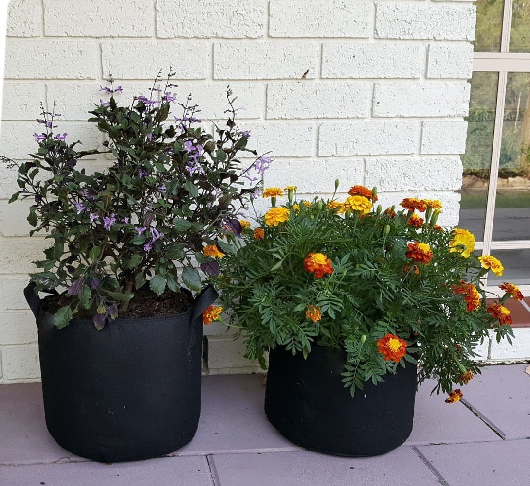 Beautyer Plant Growing Bag 3 Gallon Planter Bags with Handle Straps Aeration Fabric Pots , Non-woven Breathable Permeable Degradable (Black)