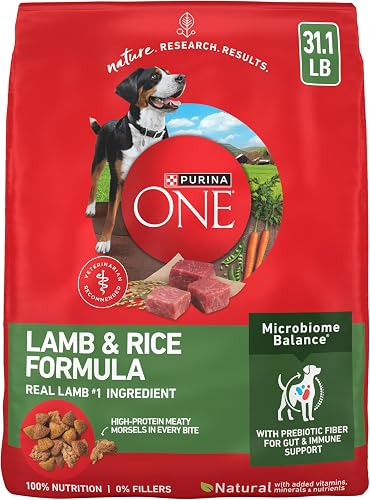 Purina ONE comida seca para perros, cordero y arroz, 31.1 libras — Comida para perros