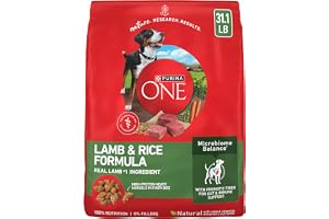 Purina ONE Dry Dog Food Lamb and Rice Formula - 31.1 lb. Bag