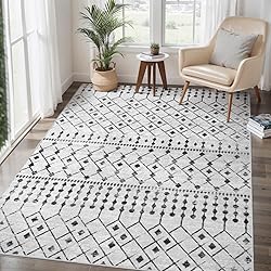 SERISSA Washable Area Rug,3x5 Soft Non Slip Indoor