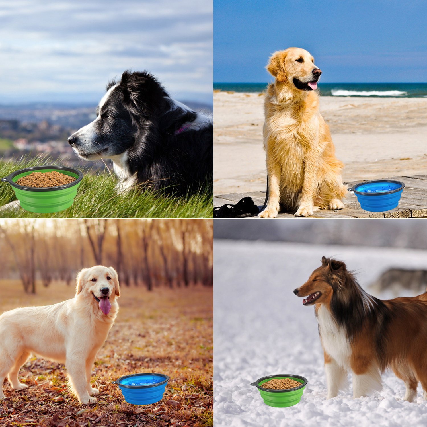 OCEANTREE Collapsible Pet Feed & Water Bowl,Food Silicone Pet Bowl,Portable Folding Feeder Travel Bowl with Clip for Medium & Small Dog Cat (2 Pack)