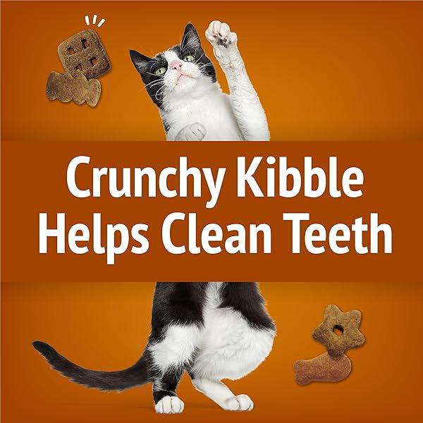 PURINA FRISKIES CAT TREATS, PARTY MIX CHICKEN LOVERS CRUNCH – 20 OZ. POUCH