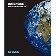 Our Choice: A Plan to Solve the Climate Crisis