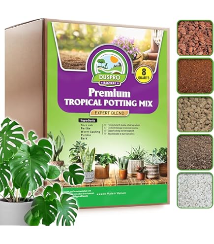 efeutute blumenampel Epipremnum Happy Leaf Ø12 cm – Efeutute Zimmerpflanze ca. 20 cm hoch – –  Blumen-Senf®