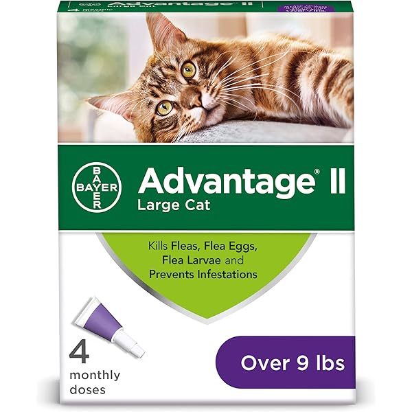 capstar for kittens walmart