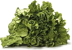Lettuce Green Leaf Organic, 1 Each