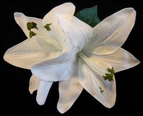Buy Hair Flowers Double White Lily Hair Flower Clip Online At Low