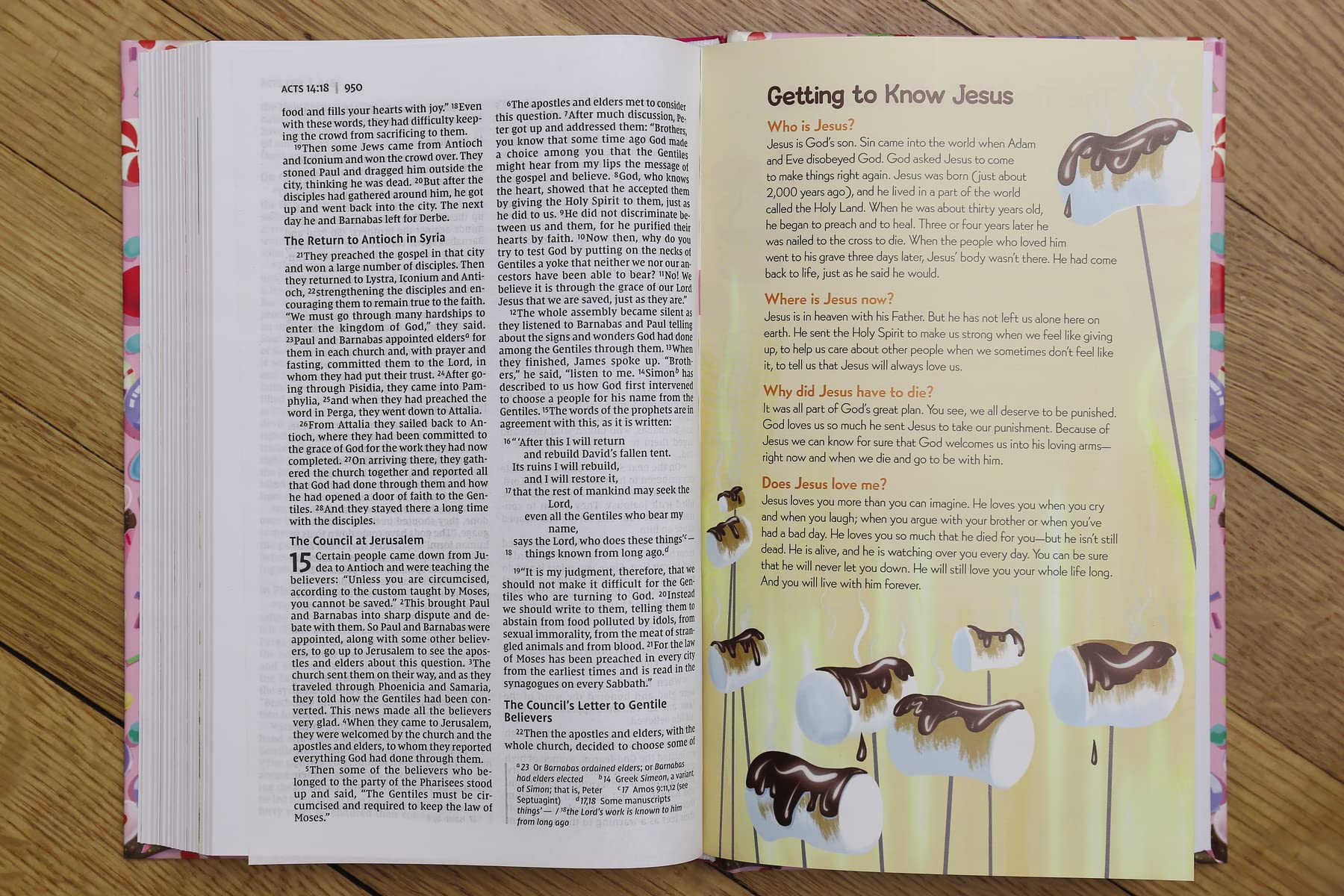 NIV, God's Sweet Love Holy Bible, Hardcover, Comfort Print