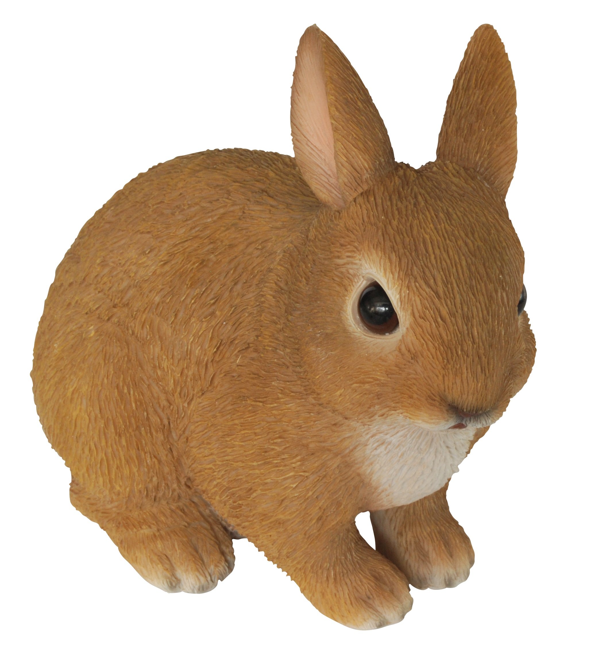 Young Rabbit Sitting Real Life Ornament by Vivid Arts