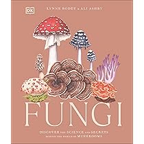 81xHbAu5ECL._AC_UL210_SR210,