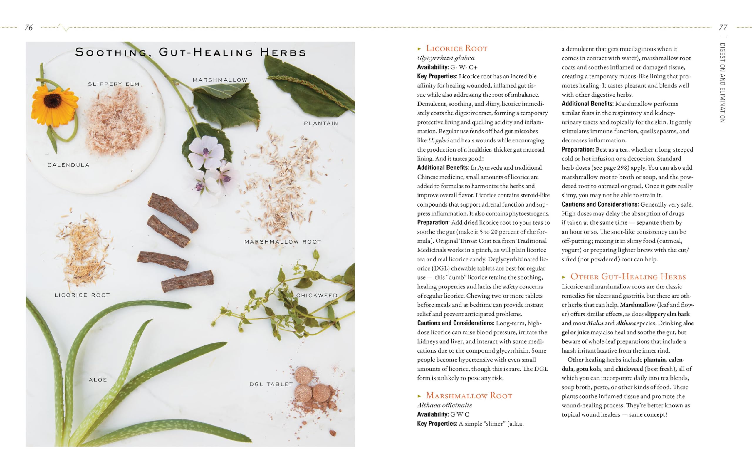 Body into Balance: An Herbal Guide to Holistic Self-Care