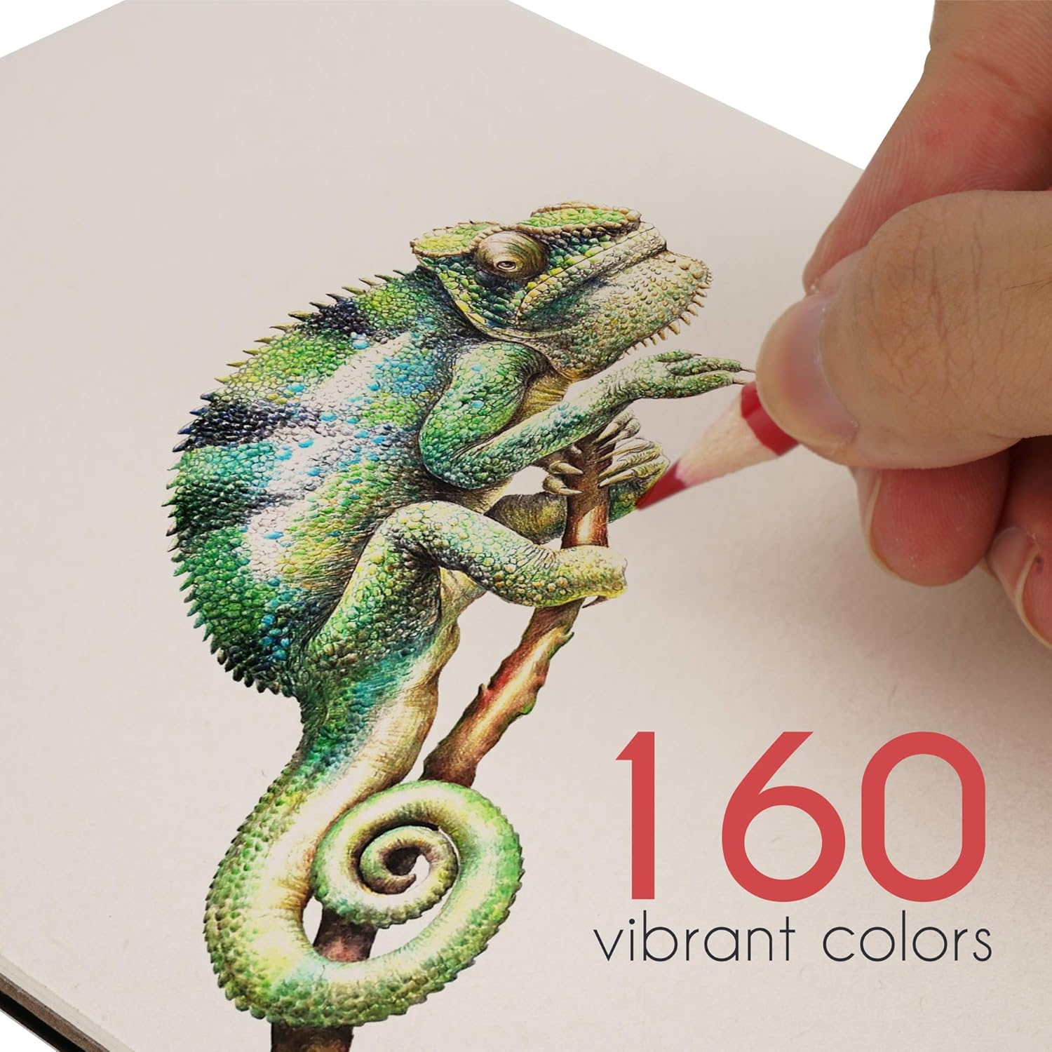 160 Colored Pencils Set by Zenacolor - Color Pencils For Artists With Cardboard Case - Professional Coloring Pencils for Adult Coloring Book : Office Products