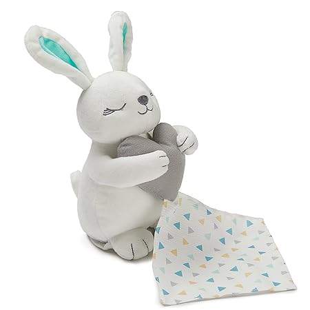 Summer Infant Little herzschläge Schnuller, Bunny
