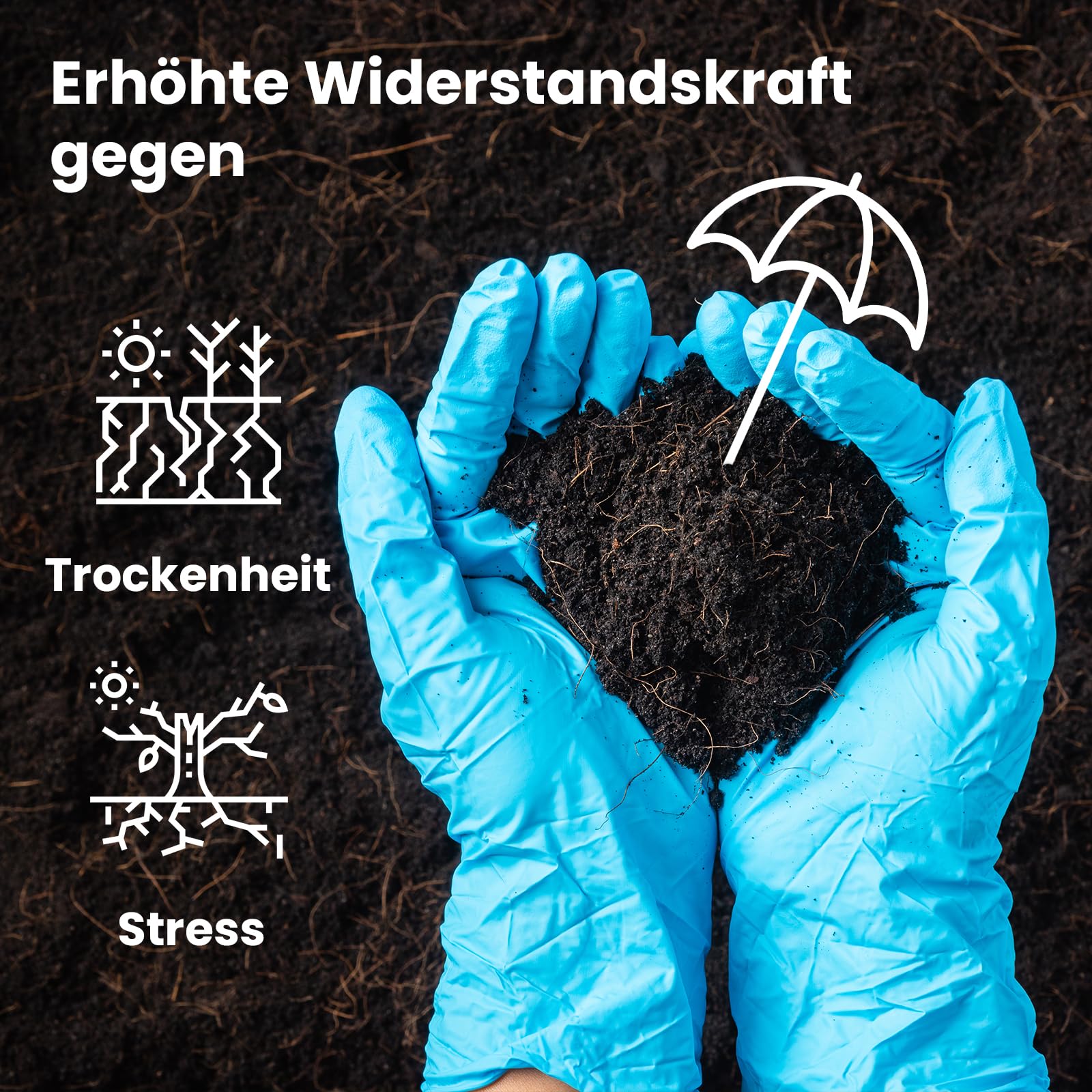 LERAVA Heckendünger (35 Laufmeter) Bio - mit Zeolith für nachhaltige Nährstoffversorgung - fördert dichtes, starkes Wachstum & grüne Hecken - schützt vor Trockenheit & Stress - einfache Anwendung 4