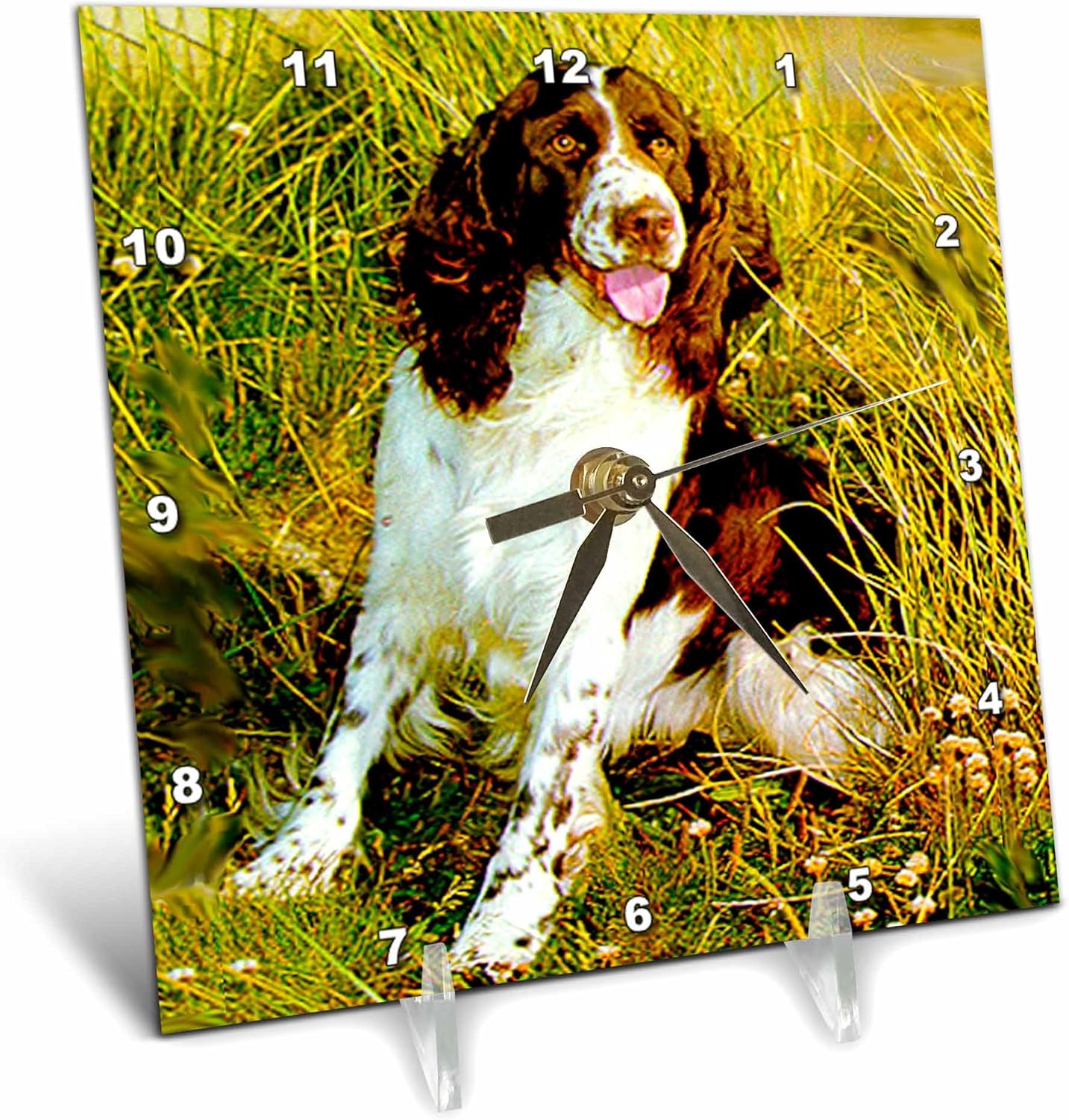 desk springer spaniels