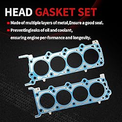 Autodevil Timing Chain Cylinder Repair Kit 5.4L Fit