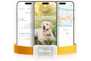 Petcube GPS Tracker for Dogs | Pet GPS Location Tracker with Escape Alerts and Virtual Fences, Activity and Wellness Monitoring, Glows in a Dark, Water and Dust Proof