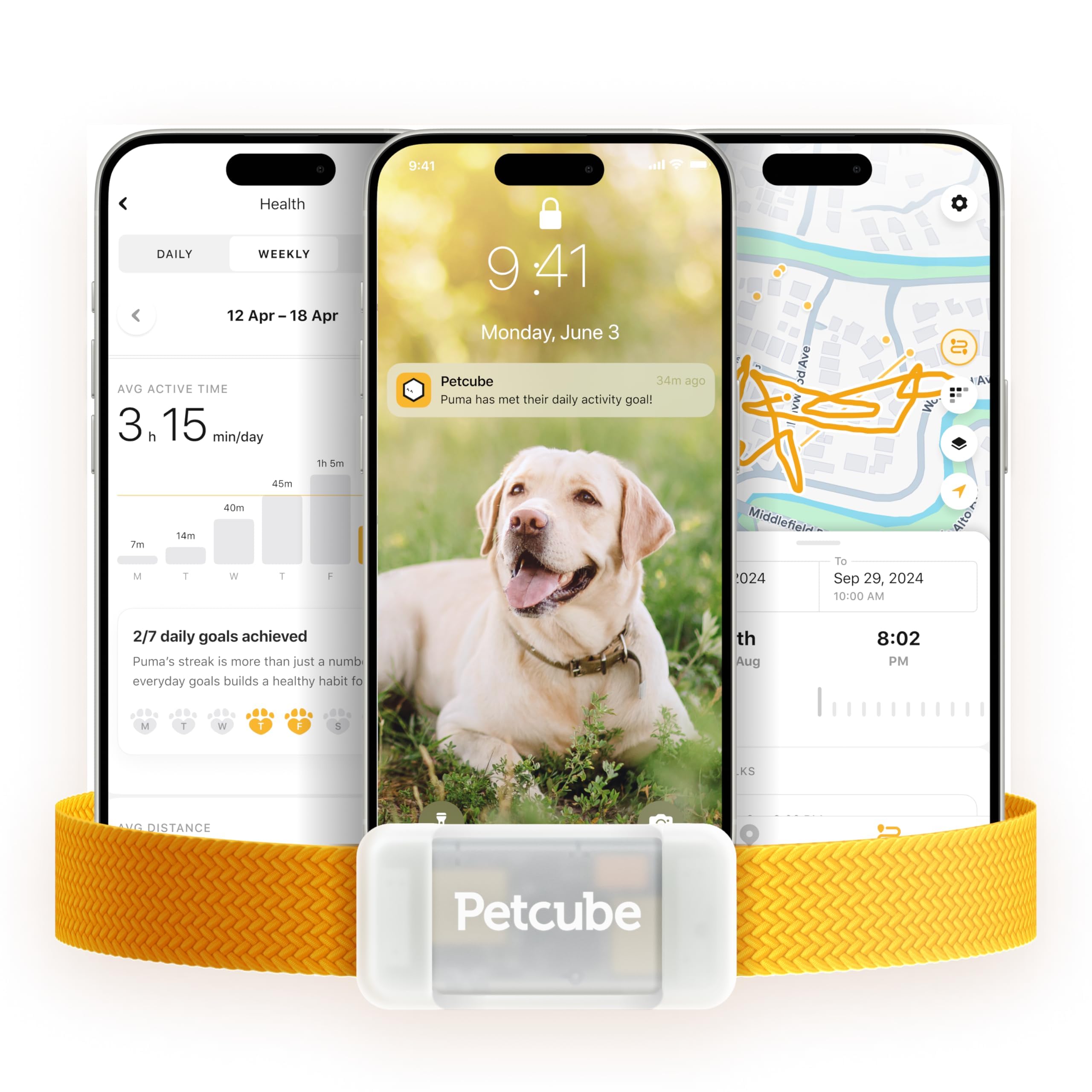 Photo 1 of Petcube GPS Tracker for Dogs | Pet GPS Location Tracker with Escape Alerts and Virtual Fences, Activity and Wellness Monitoring, Glows in a Dark, Water and Dust Proof