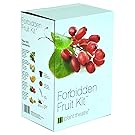 Plant Theatre Forbidden Fruit Kit Gift Box - 5 Delectable Fruits to Grow - Everything you need to start growing in one box! - Great Grow Kit Gift