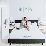 Modway Aveline 10" Gel Infused Memory Foam Queen Mattress With CertiPUR-US Certified Foam - 10-Year Warranty