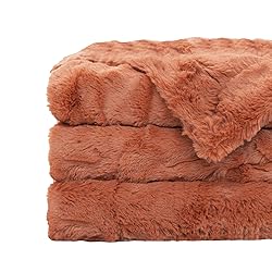 TOONOW Faux Fur Luxury Throw Blanket,Double Side