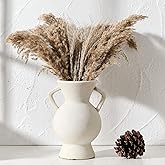 LUKA Antique Ceramic Vase with 2 Handle,9.25 inches Rustic Vase Minimalist Decor, Decorative Vases for Home Decor, Table, Living Room, Shelf, Christmas Decoration(Large,White)