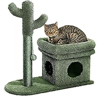 Catinsider 2 in 1 Cat Scratching Post Kitty Condo with Dangling Ball for Small Cats Green