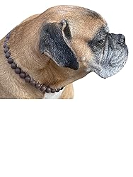 Dog Necklace