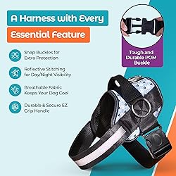 Joyride Basic Essential Dog Harness 1.0