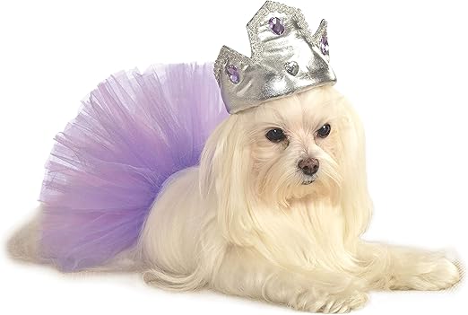 dog tiara