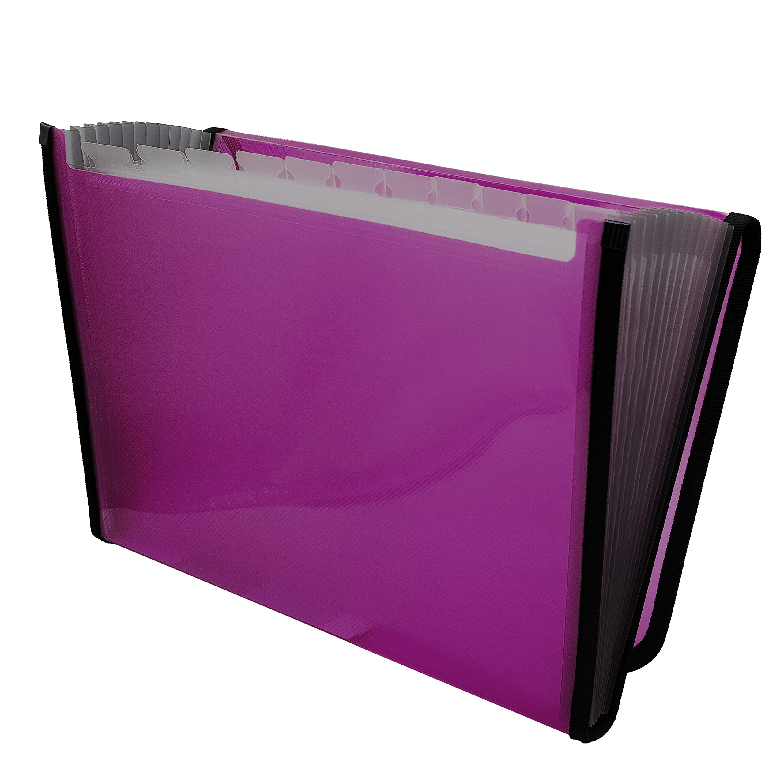 Raylu Paper® - 12 Pockets Accordion Sorting Folder Plastic Folder for Office with Reinforced Dividers and Edges (Fuchsia) — image 1