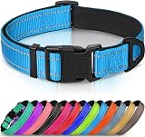 Joytale Reflective Dog Collar Neoprene Padded Nylon Small Skyblue S