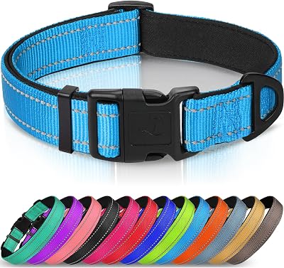 Joytale Reflective Dog Collar Nylon Neoprene Padding Medium Skyblue