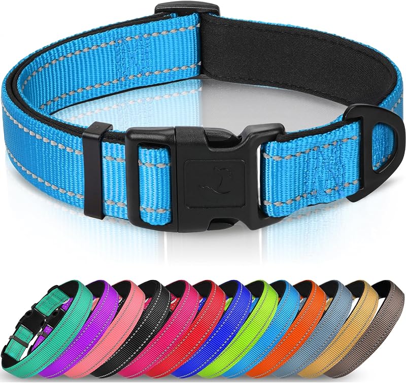 Joytale Reflective Dog Collar Neoprene Padded Nylon Small Skyblue S