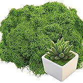 Bitlongate Artificial Moss 5.3oz – Fake Green Moss for Crafts, Potted Plants, Fairy Garden Decor, DIY Table Centerpieces, Wedding Party Decoration