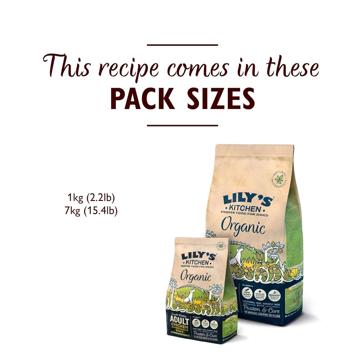 lily's kitchen lamb dry food