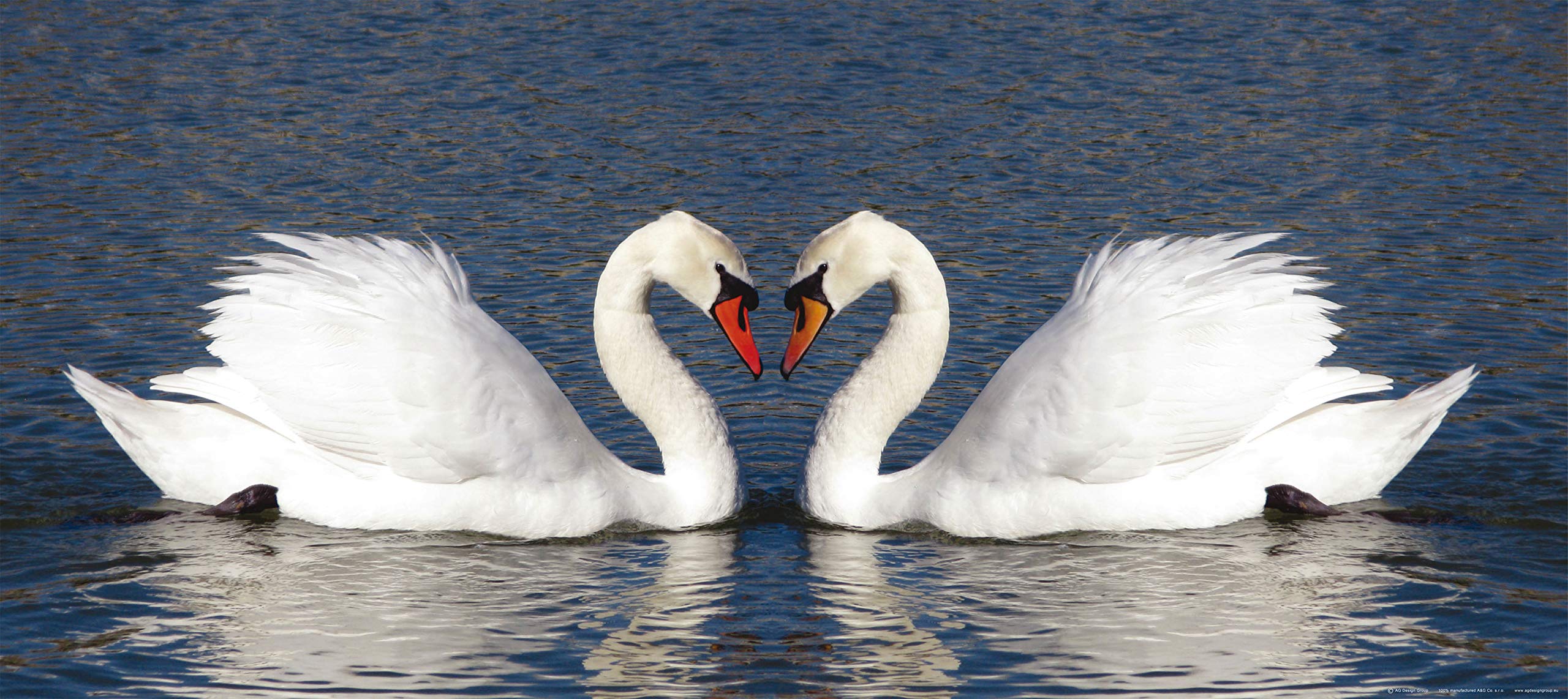 AG DESIGN Swans Giant Wall Poster, Non Woven, Multi-Colour, 202 x 90 cm