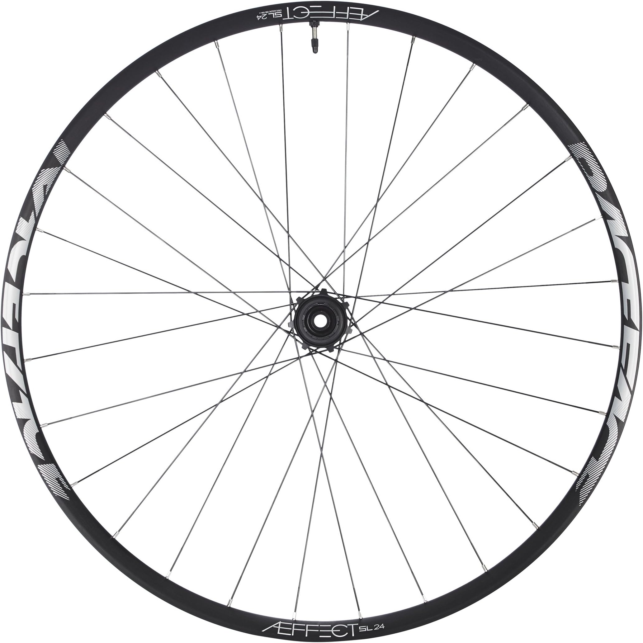 Race Face Aeffect-SL 24 29" Mountain Rear Wheel