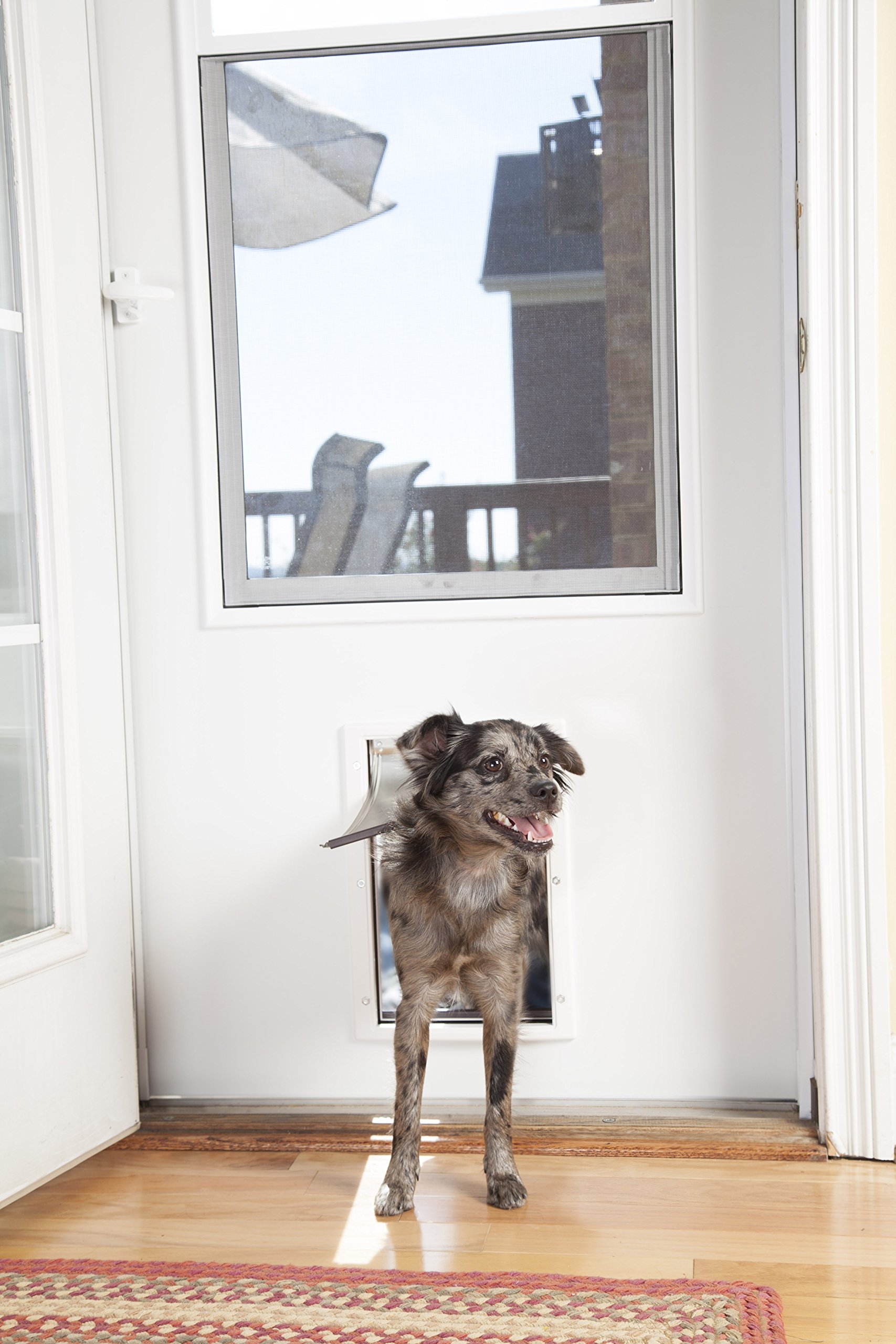 PetSafe Plastic Pet Door with Soft Tinted Flap, White, Medium Dog Entry