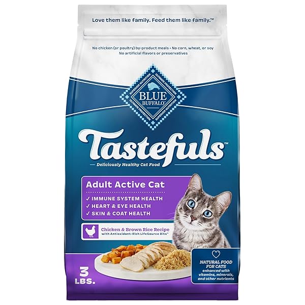 BLUE BUFFALO TASTEFULS ACTIVE CAT DRY CAT FOOD, MADE IN THE USA WITH NATURAL INGREDIENTS, CHICKEN & BROWN RICE RECIPE, 3-LB. BAG