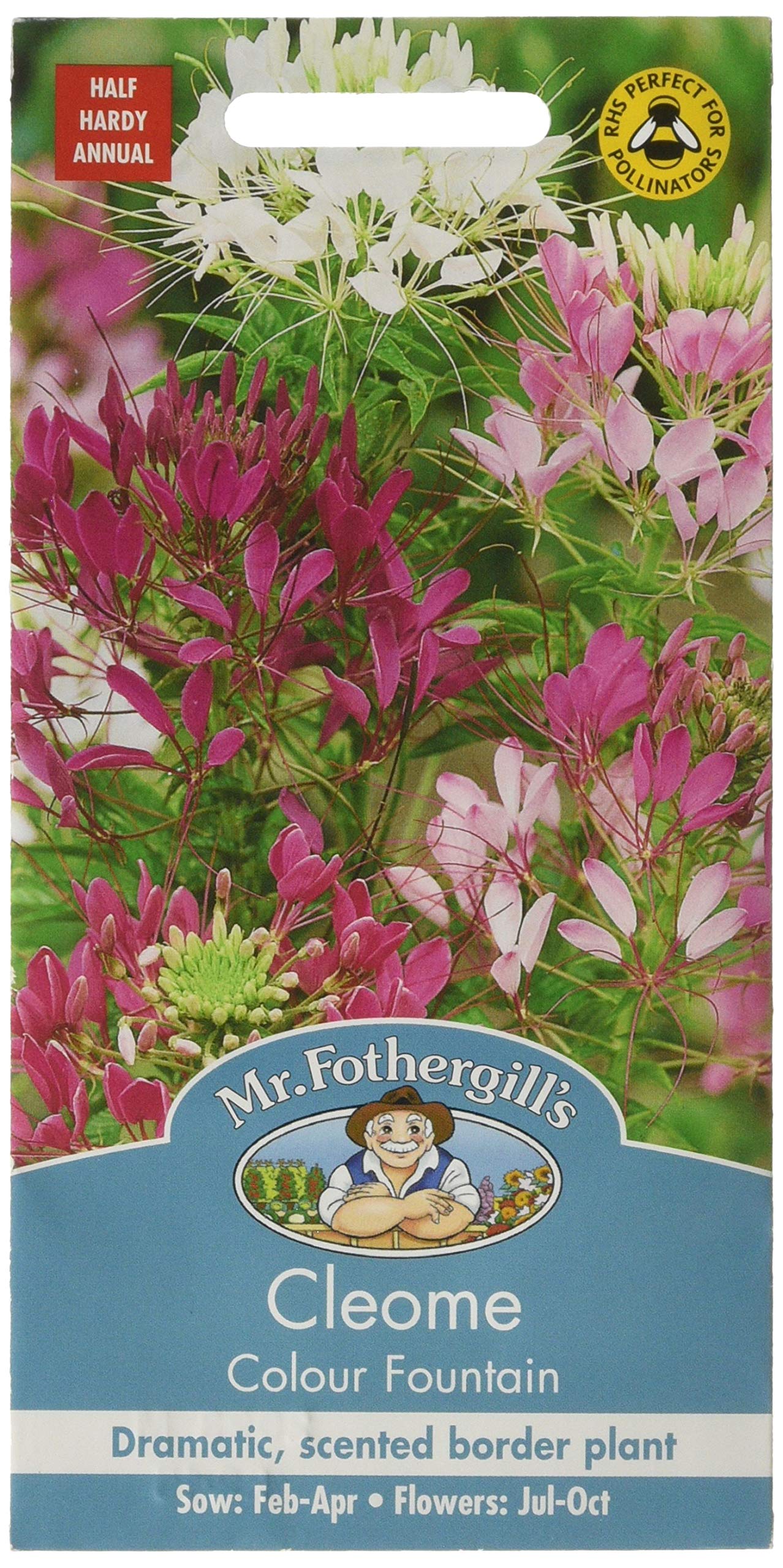 Mr Fothergill's 20704 Flower Seeds, CLEOME Colour Fountain