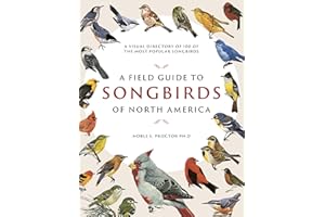 A Field Guide to Songbirds of North America: A Visual Directory of 100 of the Most Popular Songbirds