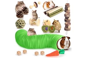 Kyouki Hamster Toys Guinea Pig Toys Set with Tunnel, Chewable Apple Wood & Natural Timothy Hay - Enrichment Chew Toys for Small Animals - 24+ Cage Accessories for Teeth Care & Boredom Relief (Green)
